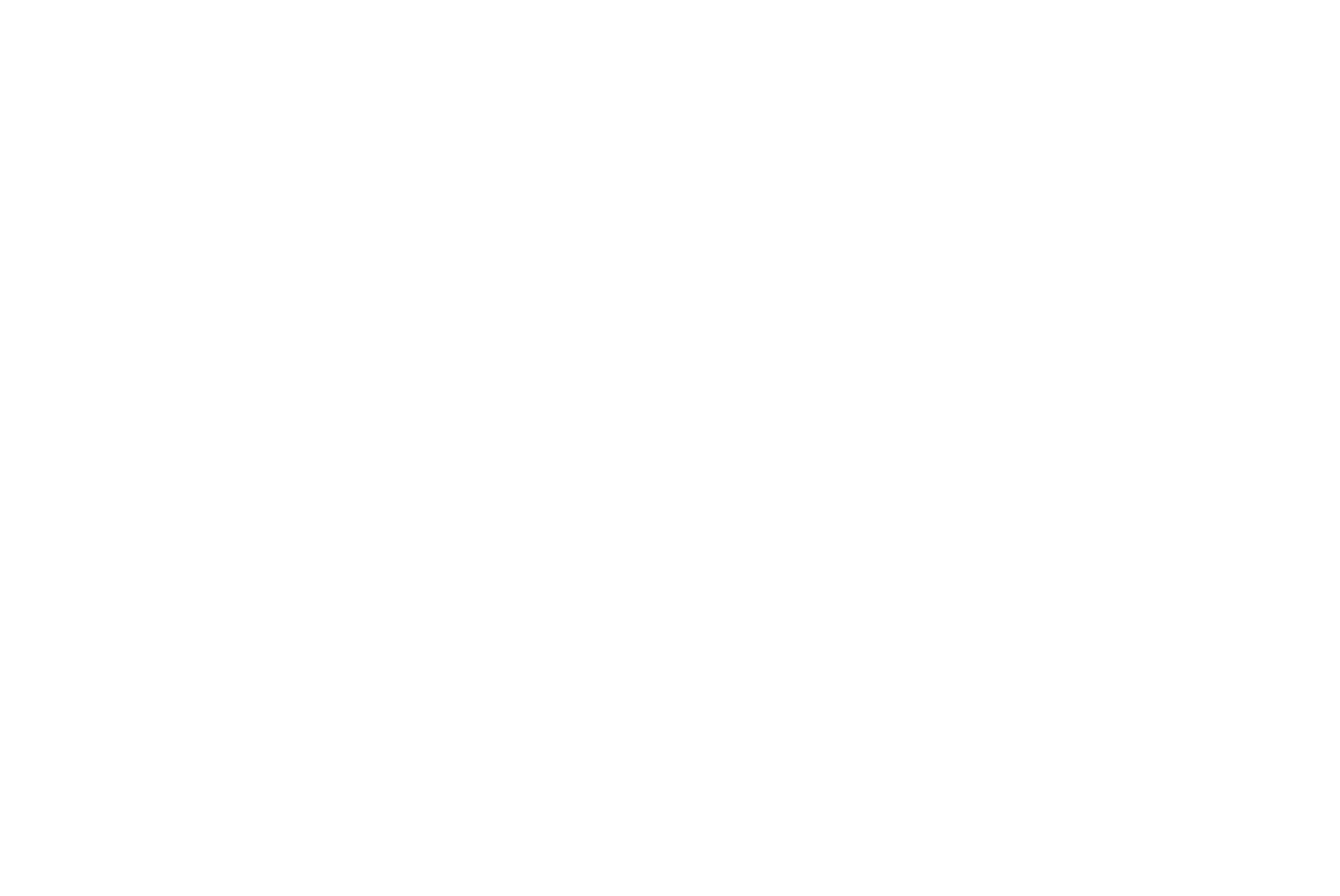 Embla Medical
