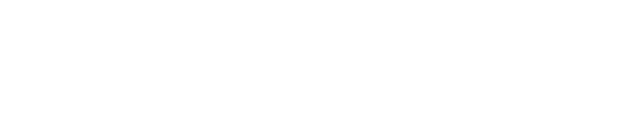 Formuepleje