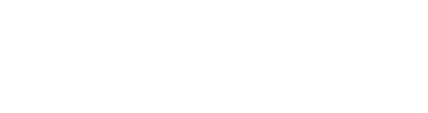 Horizon3