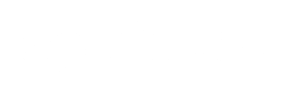 Sparinvest