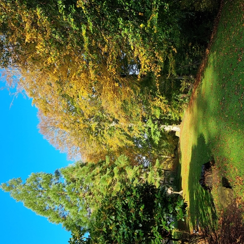 Dyrehaven