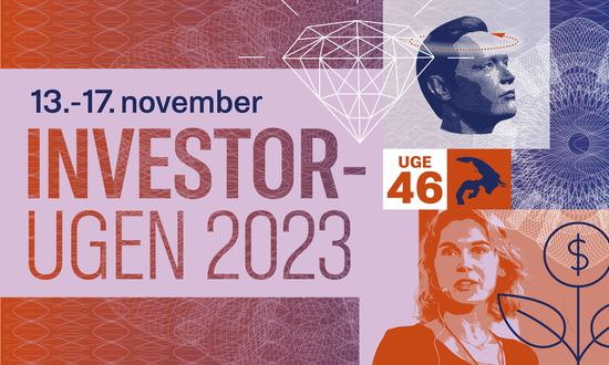 Investorugen 2023