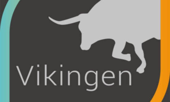 Logo for Vikingen